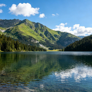 风雨兼程路