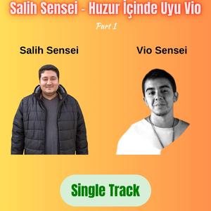 His (Huzur İçinde Uyu Vio)