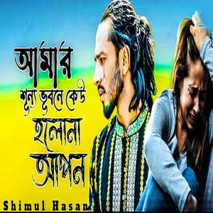 আমার শূন্য ভূবনে কেউ হলোনা আপন