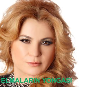 ELMALARIN YONGASI