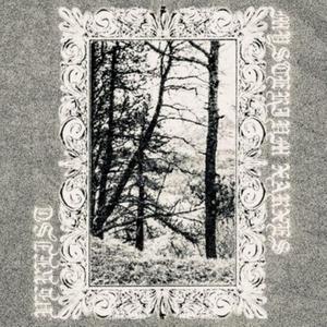 Vereist - Kragen