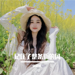 记住了整条街的风