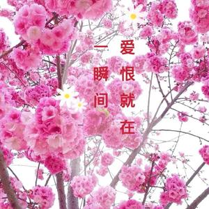 爱恨就在一瞬间