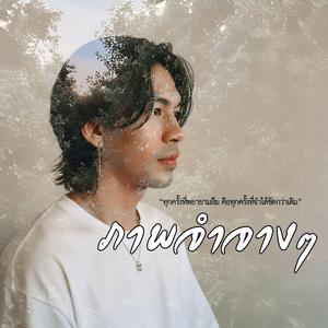 ภาพจำจางๆ (Fading Memories)