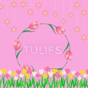 Tulips