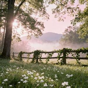 几面 (鱼忆 Remix)