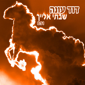 Shavti Elaich