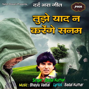 Tujhe Yaad Na Karenge Sanam