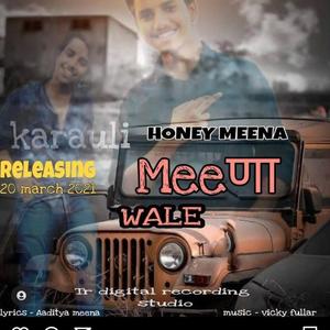 Meena Karauli wale (feat. Honey Meena)