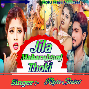 Jila Maharajganj Thoki