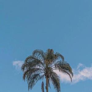 挺住