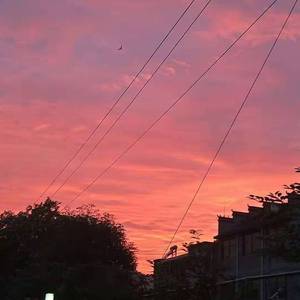 偷生（翻自 李飘飘）