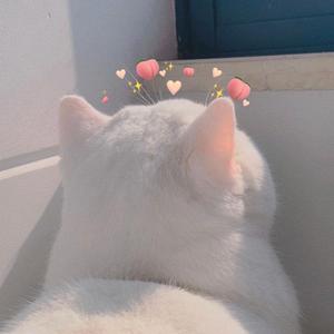 输入法打可爱按第五（甜暖少女音）（翻自 米卡/高卿尘/吴宇恒/薛八一/张星特/曾涵江）