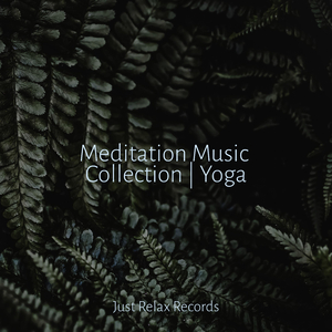 Glowing Midnight Symphony