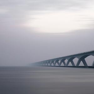 去年花开丨抖音热搜纯享