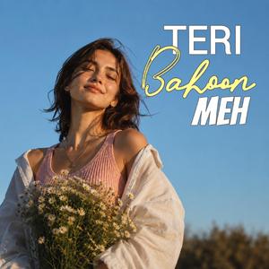 Teri Bahoon Meh
