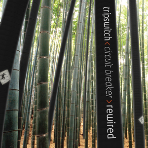 Indigo (Androcell Remix)