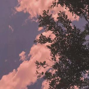 房间（翻自 刘瑞琦）