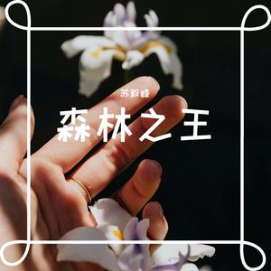 森林之王