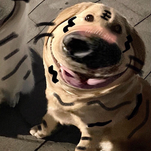 挂断（翻自 H16）