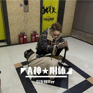 Avicii-AVICII LEVELS – EPISODE 001（DJ至臻寶er remix）