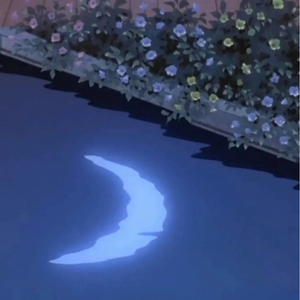 summer night