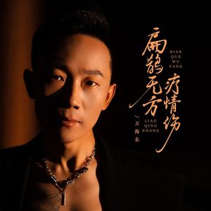 扁鹊无方疗情伤