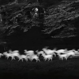 "迷途" Don toliver × macoverseas Type Beat