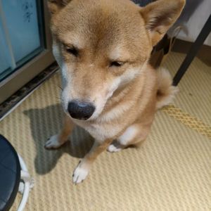 音频提取_174928_track1