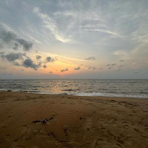 kribi