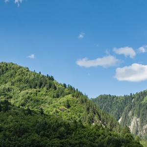 我希望我的生活里一直有你