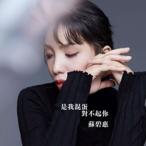 是我混蛋对不起你