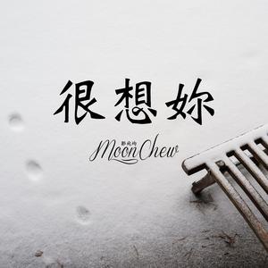 很想妳（翻自 张智成）