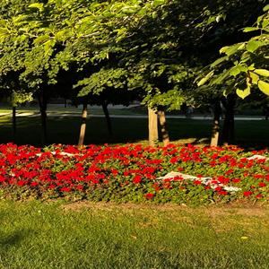 Find Another Story 3