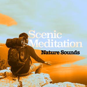 Bird Life Behind the Barn