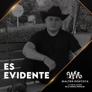 Insinuación