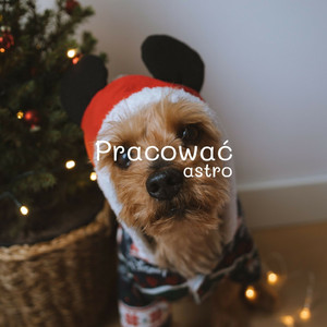 Pracować astro