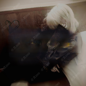 心脏是雪花绣的痂