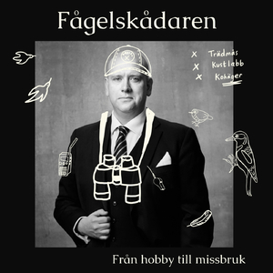 Fågelinfluenser