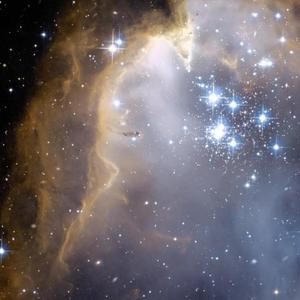 深情不改必坠死海