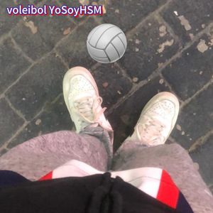 Voleibol