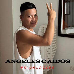 ANGELES CAIDOS