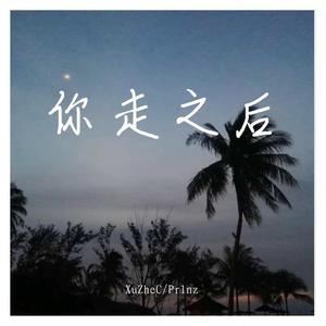 你走之后