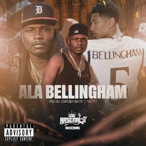 Ala bellingham (drykoboy)