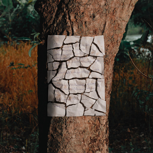 คงจะดีหากฉันหายไป (Vanishing)