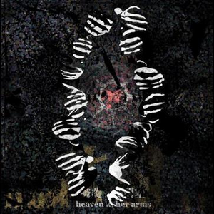 角膜で月は歪む