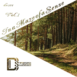 Lost Island (Original Mix)