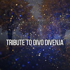 Tribute To Divo Divenja (feat. King killa, Hb zwino, treyecon, eazy t & Renegade Wax)