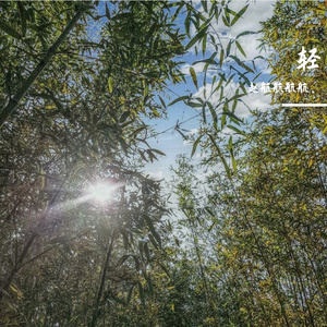 MIX-Remix collection TWO（赵航航航航、 remix）