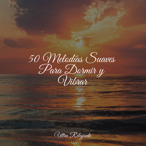 Alas De Mariposa Y Cosas